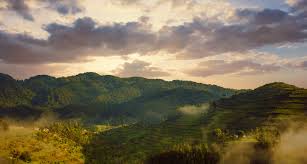 images (1) images (1)